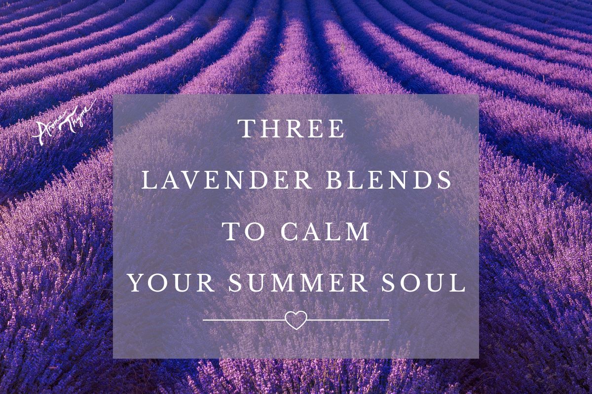 Three Lavender Blends to Calm Your Summer Soul – Aroma Thyme
