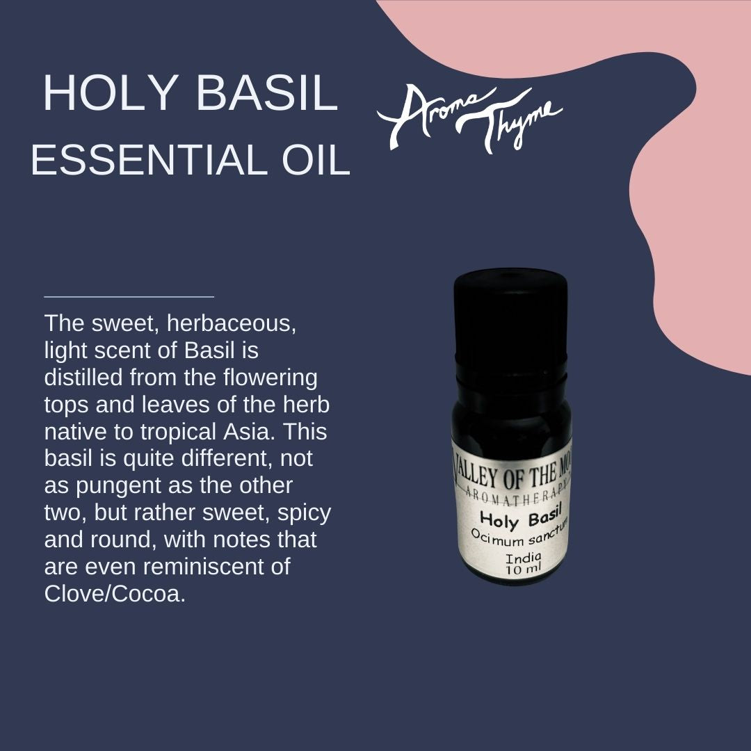 holy basil essential oil 10 ml