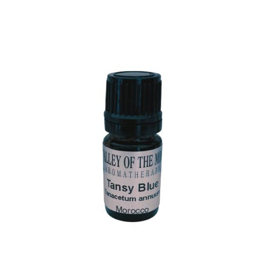 Tansy Blue (Moroccan Chamomile) Essential Oil Wild