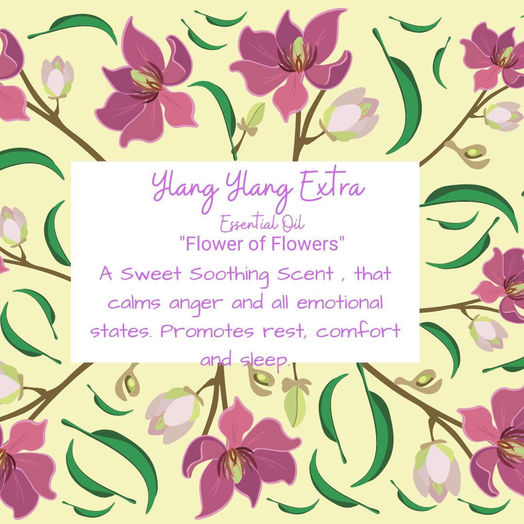 ylang ylang extra essential oil flower of flowers yellow flowered background image