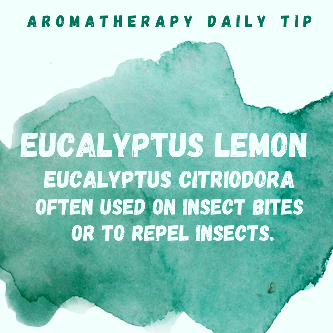 Eucalyptus Lemon Essential Oil Daily Tip