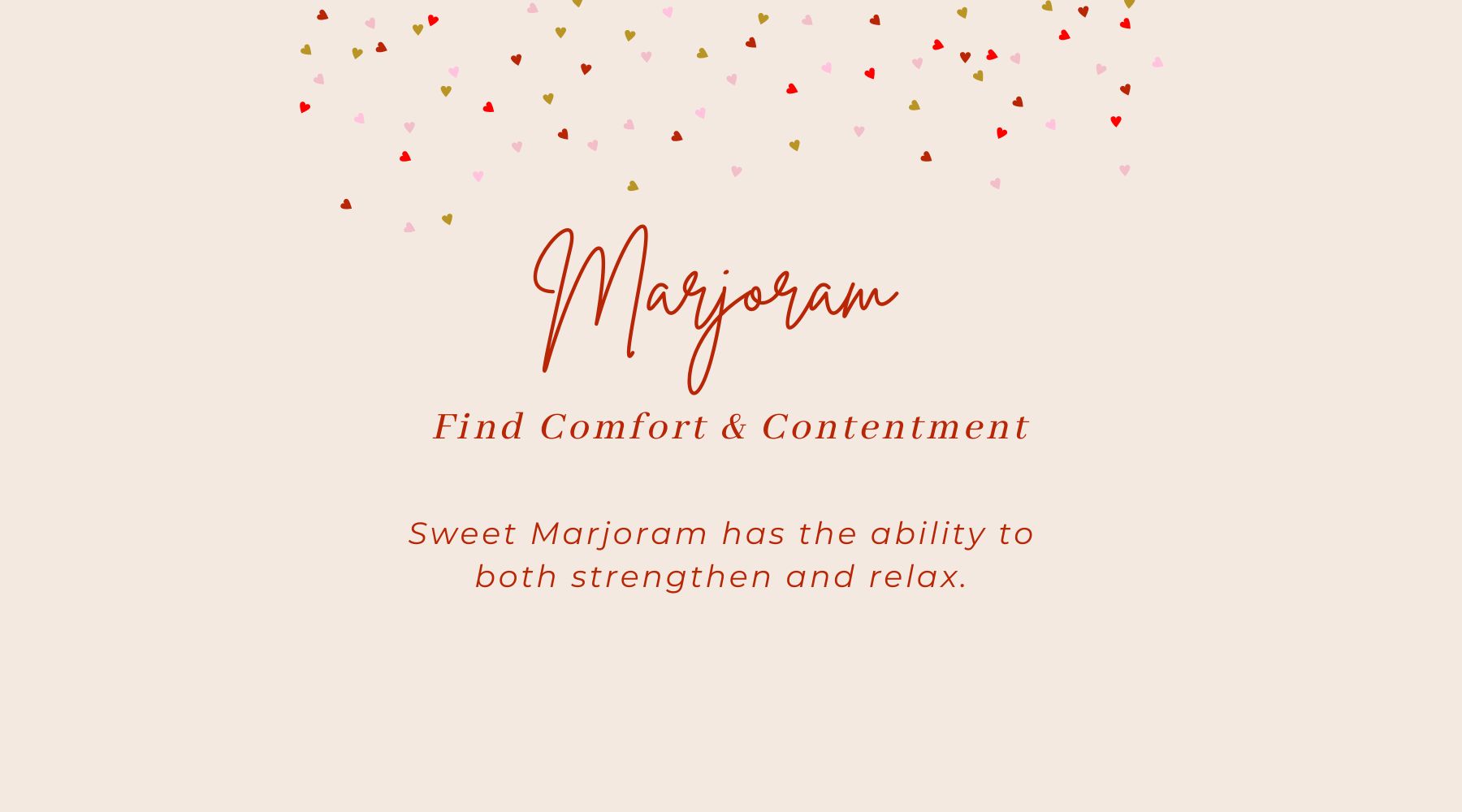 Sweet Marjoram essential oil for comfort and contentment