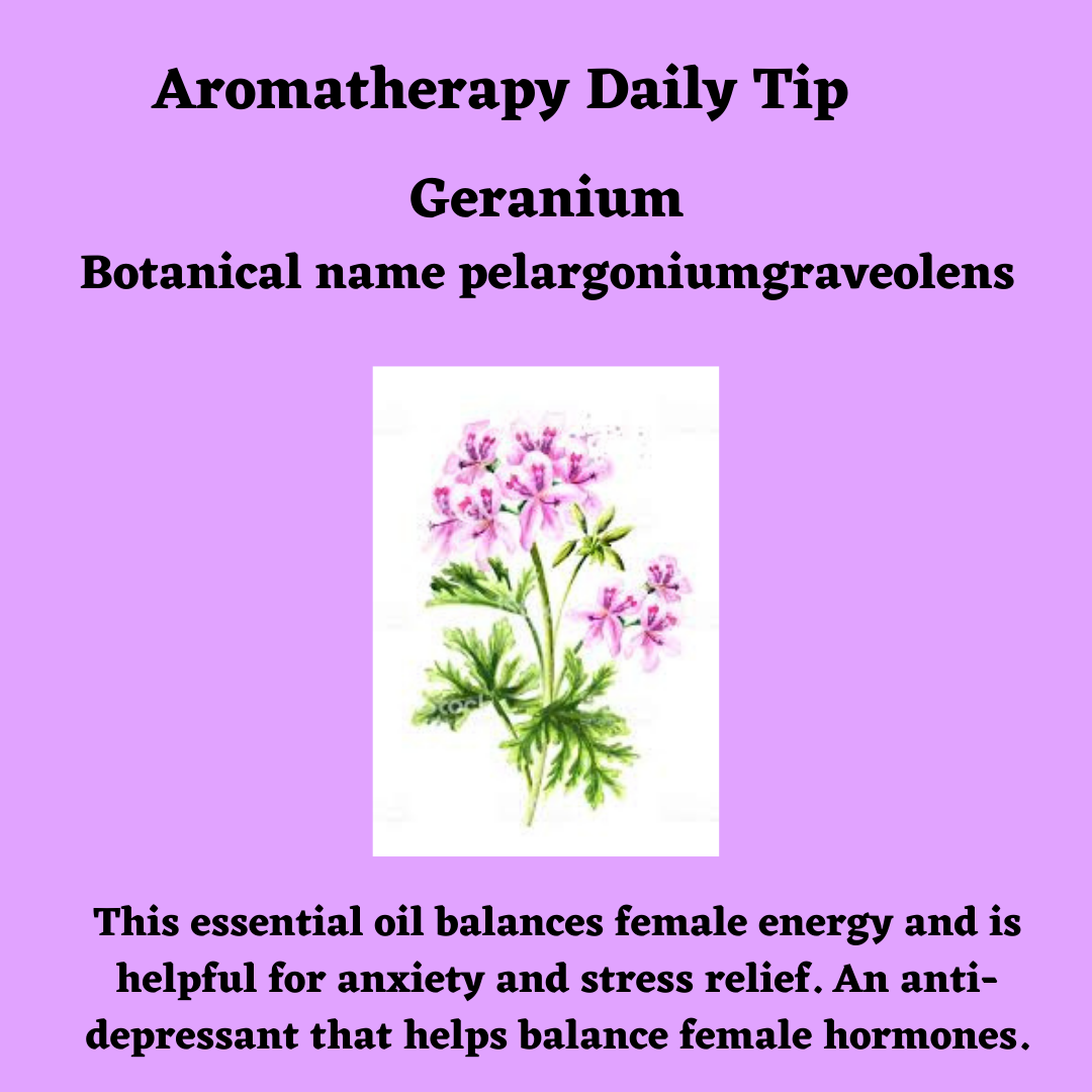 Geranium essential oil balances female energy and is helpful for anxiety and stress relief.