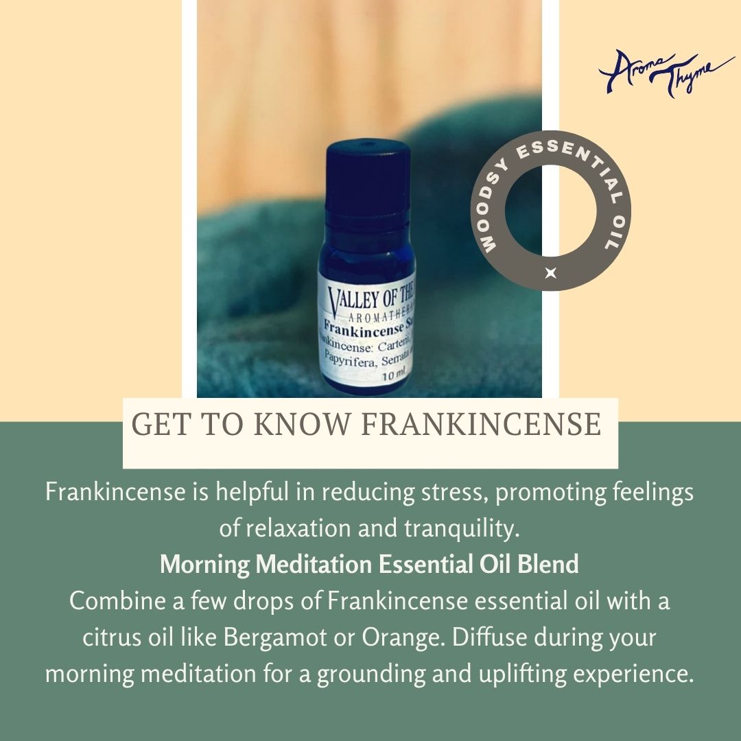 Holiday Aromatherapy Blend & Terra Cotta Stone Diffuser Gift Set