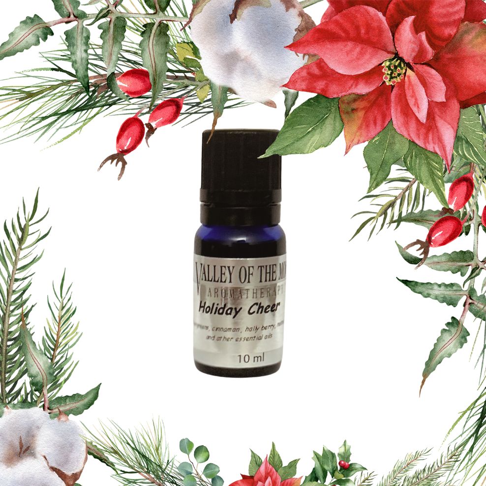 Holiday Aromatherapy Blend & Terra Cotta Stone Diffuser Gift Set
